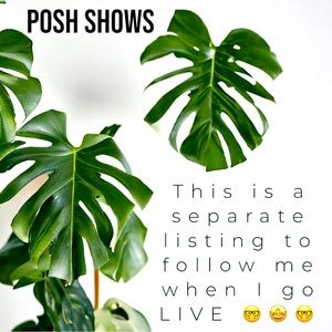 ^.^ 🩷 LIKE THIS LISTING TO BE NOTIFIED WHEN I GO LIVE 🩷 ^.^